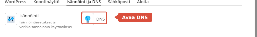 Isännöinti ja DNS -välilehti, jossa DNS on korostettuna