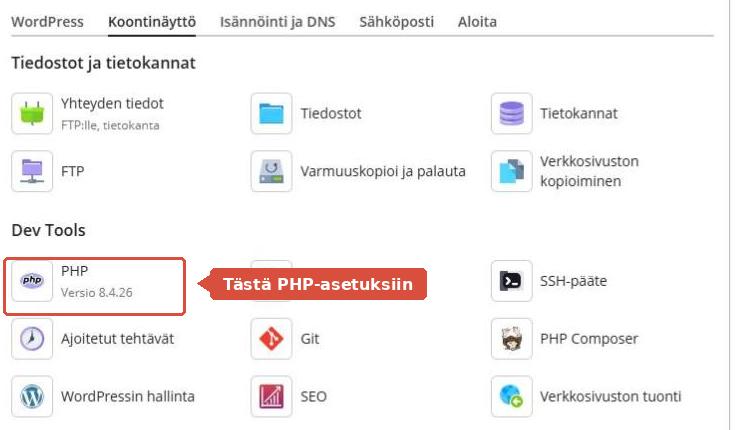 Plesk-hallinnan Koontinäyttö, jossa Dev Tools -osion PHP-kuvake on korostettu