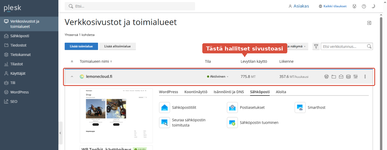 Plesk-paneelin etusivu, jossa näkyy verkkotunnuksen kortti